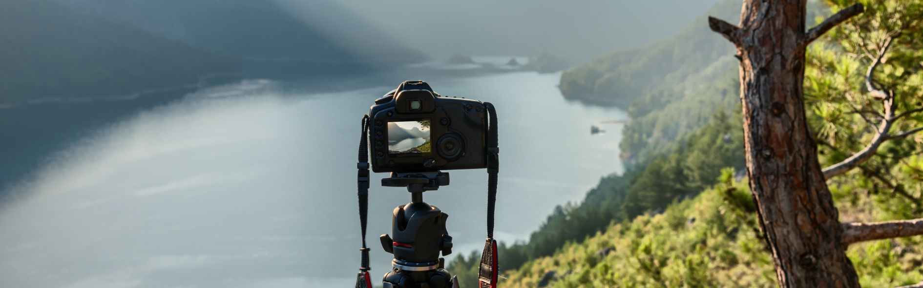 Descubre por qué se celebra el 19 de agosto Día Mundial de la Fotografía.